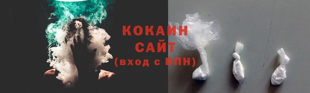 соль курить ск Алзамай