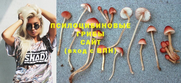 соль курить ск Алзамай