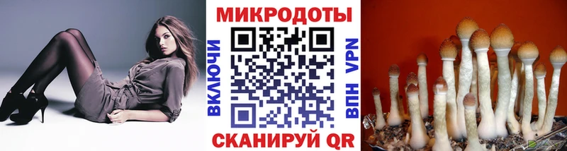 Псилоцибиновые грибы прущие грибы  Островной 